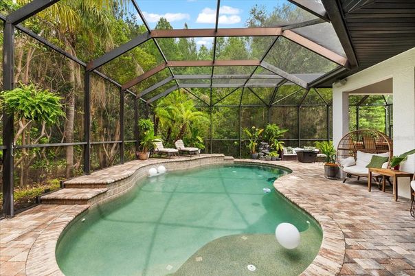 Glass Ceilings, Interior, Pool, Sun Room