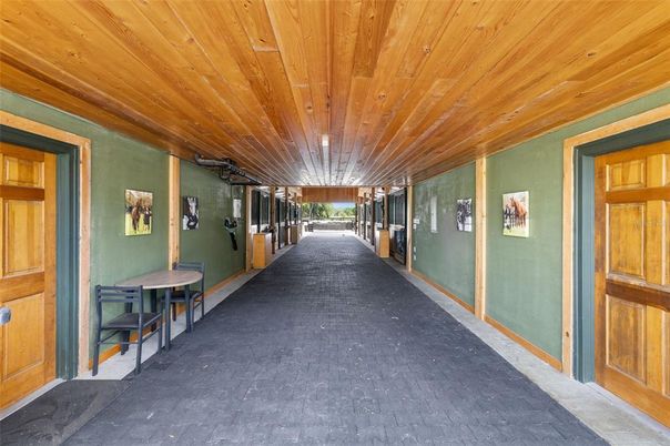 Interior, Wooden Ceilings