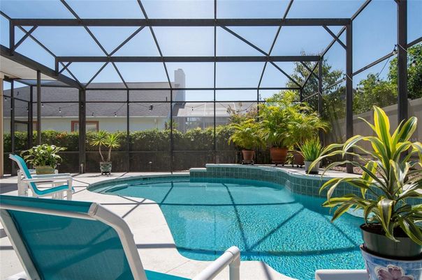 Glass Ceilings, Interior, Pool, Sun Room