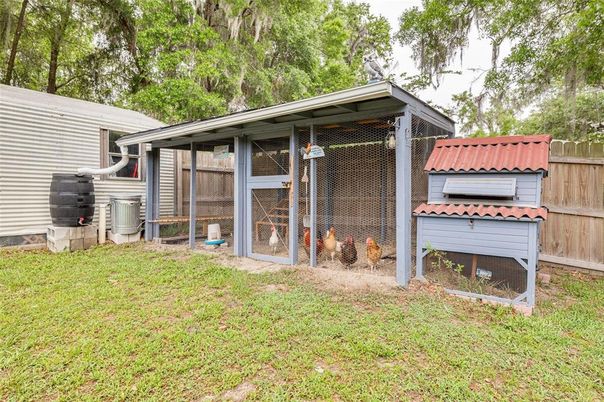 Backyard, Exterior
