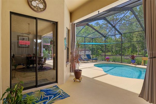 Glass Ceilings, Interior, Pool, Sun Room