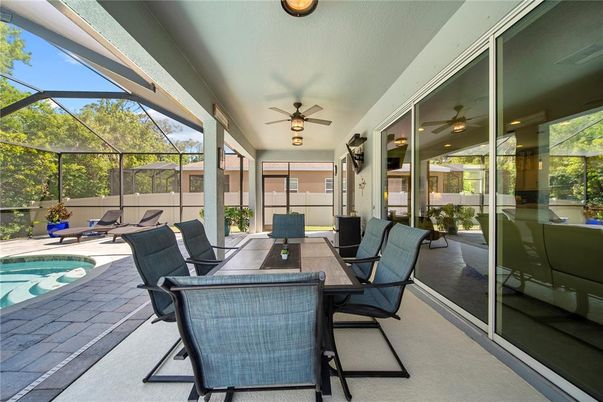 Glass Ceilings, Interior, Pool, Sun Room