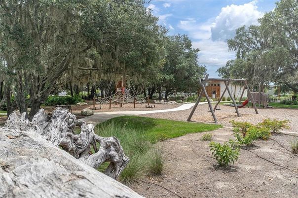 Backyard, Exterior, Playground