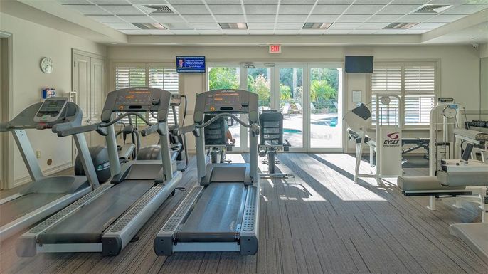 Fitness Equipment, Gym, Interior, Wood Texture Flooring