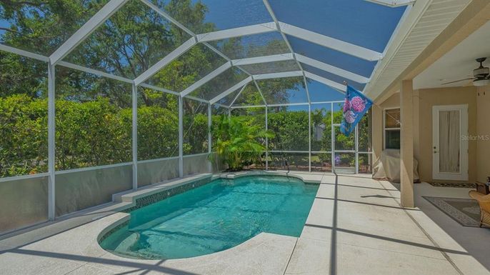 Glass Ceilings, Interior, Pool, Sun Room