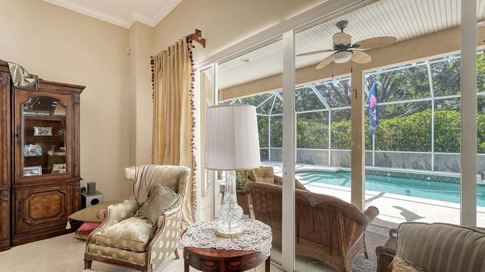 Glass Ceilings, Interior, Pool, Sun Room