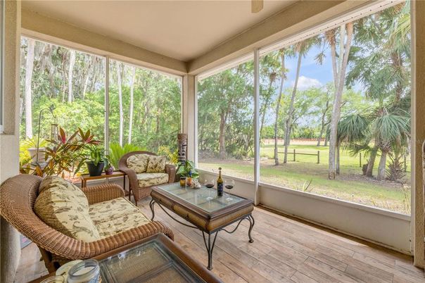 Interior, Sun Room, Wood Texture Flooring