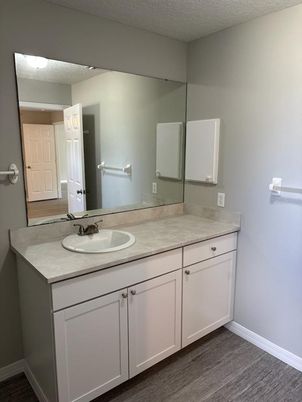 Bathroom, Dual Sink Vanities, Interior, Wood Texture Flooring