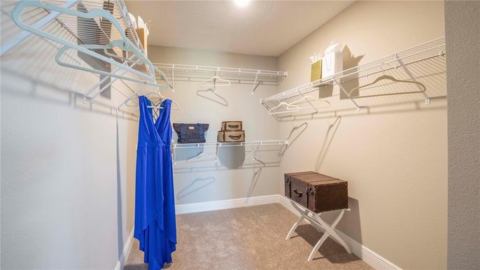 Interior, Walk-in Closets
