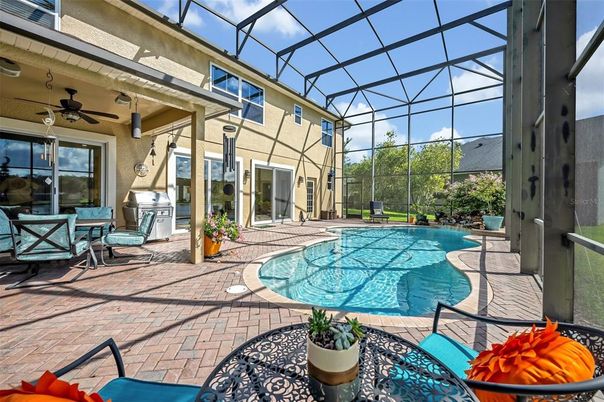 Glass Ceilings, Interior, Pool, Sun Room