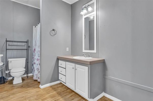 Bathroom, Interior, Wood Texture Flooring