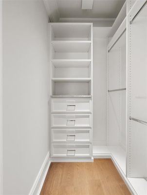 Interior, Walk-in Closets, Wood Texture Flooring