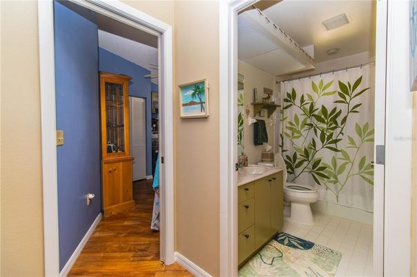 Bathroom, Interior, Wood Texture Flooring