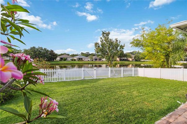 Backyard, Exterior, Water