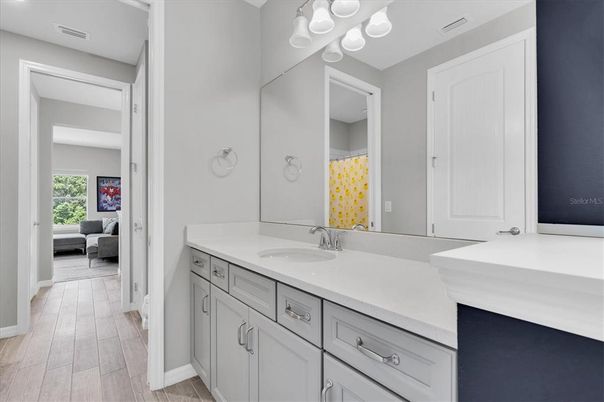 Bathroom, Dual Sink Vanities, Interior, Wood Texture Flooring