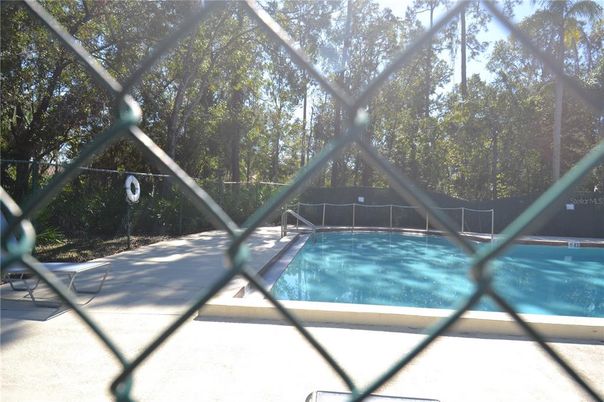 Glass Ceilings, Pool, Sun Room