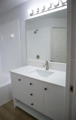 Bathroom, Dual Sink Vanities, Interior, Wood Texture Flooring
