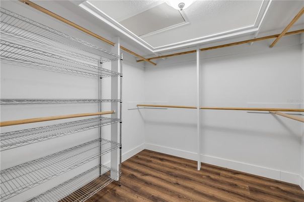 Interior, Walk-in Closets, Wood Texture Flooring