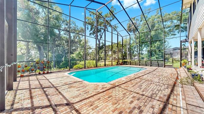 Glass Ceilings, Interior, Pool, Sun Room