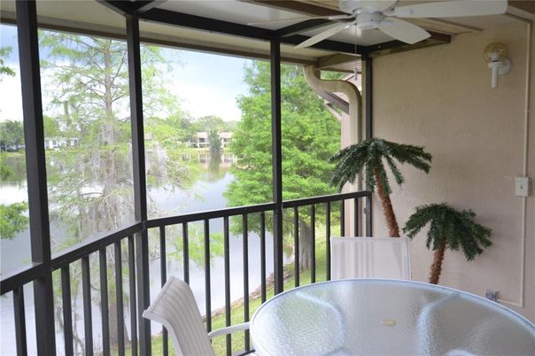 Interior, Sun Room, Water