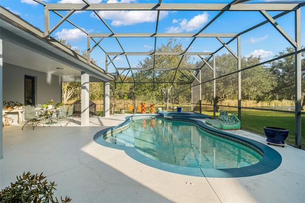 Glass Ceilings, Interior, Pool, Sun Room