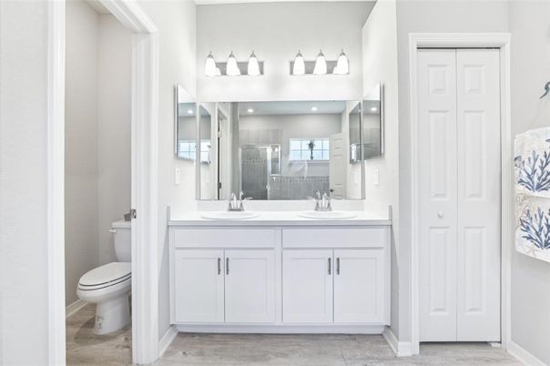Bathroom, Dual Sink Vanities, Interior, Wood Texture Flooring