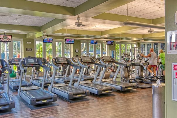 Fitness Equipment, Gym, Interior, Wood Texture Flooring