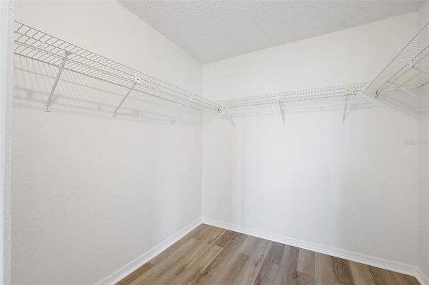 Interior, Walk-in Closets, Wood Texture Flooring