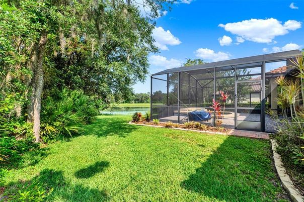 Backyard, Exterior, Water