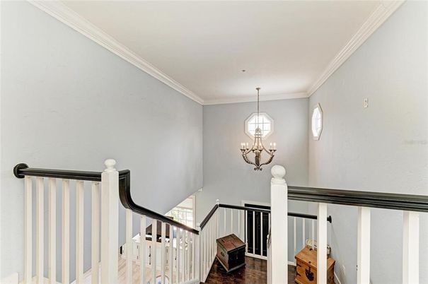 Chandelier, Interior, Wood Texture Flooring