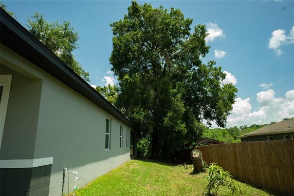 Backyard, Exterior