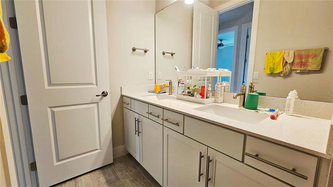 Bathroom, Dual Sink Vanities, Interior, Wood Texture Flooring