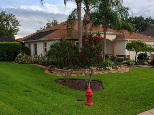 Backyard, Exterior, Solar Panels