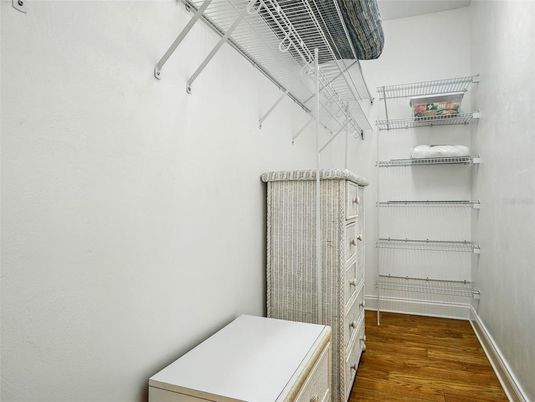 Interior, Walk-in Closets, Wood Texture Flooring