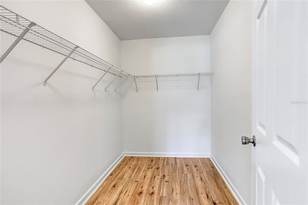 Interior, Walk-in Closets, Wood Texture Flooring