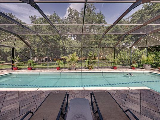 Glass Ceilings, Interior, Pool, Sun Room