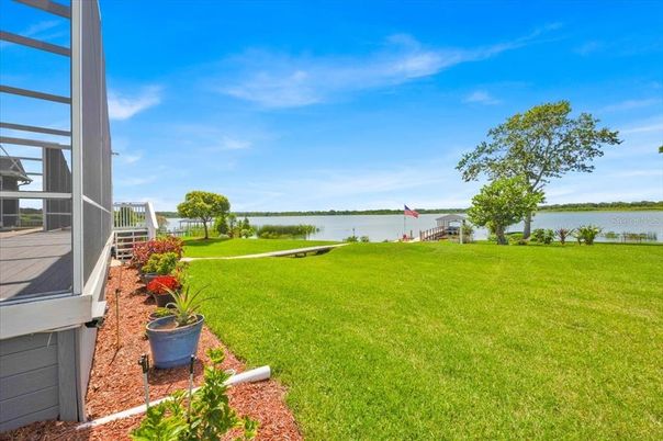 Backyard, Exterior, Water