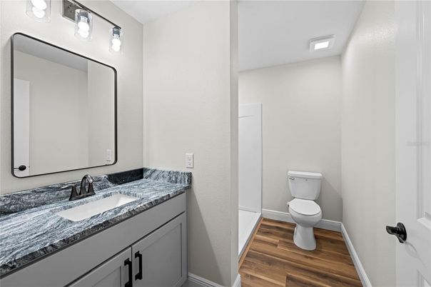 Bathroom, Interior, Wood Texture Flooring