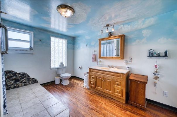 Bathroom, Interior, Wood Texture Flooring