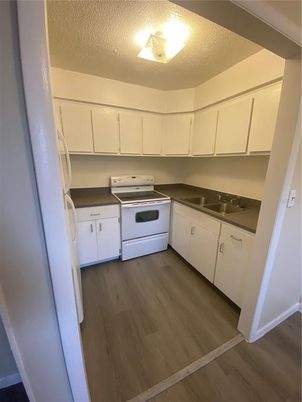 Interior, Kitchen, Washer, Wood Texture Flooring