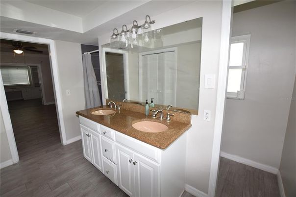 Bathroom, Dual Sink Vanities, Interior, Wood Texture Flooring