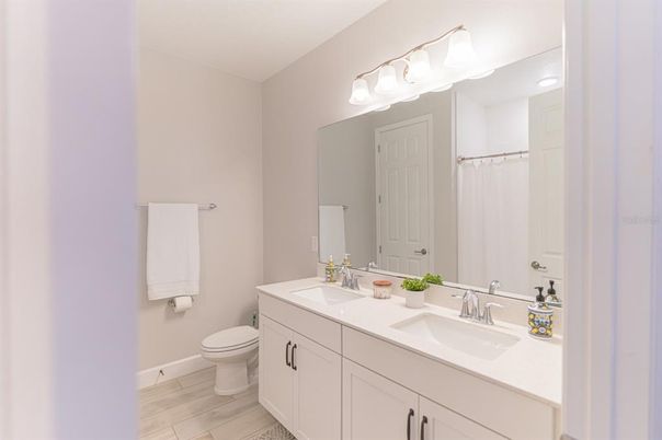 Bathroom, Dual Sink Vanities, Interior, Wood Texture Flooring