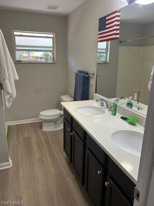 Bathroom, Dual Sink Vanities, Interior, Wood Texture Flooring