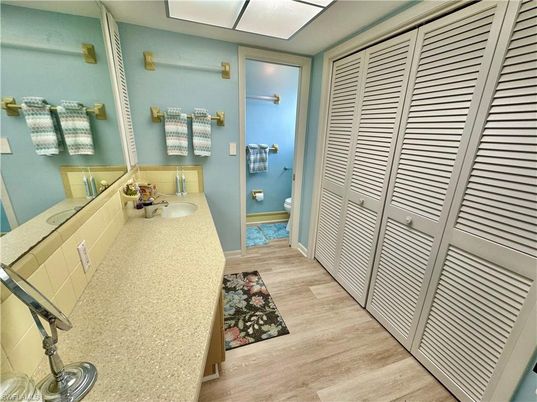 Bathroom, Dual Sink Vanities, Interior, Wood Texture Flooring
