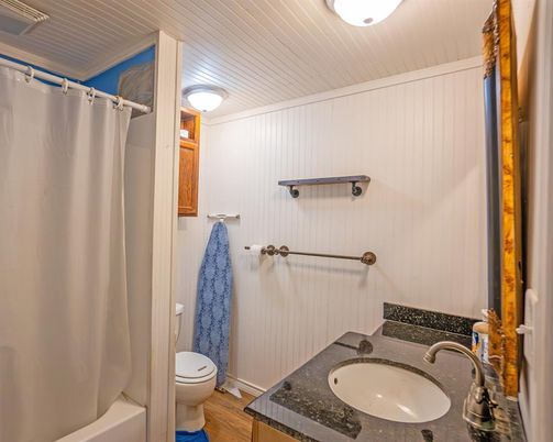 Bathroom, Interior, Wood Texture Flooring