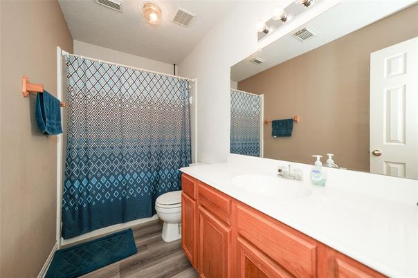 Bathroom, Interior, Wood Texture Flooring