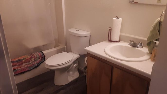 Bathroom, Interior, Wood Texture Flooring