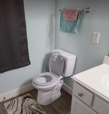 Bathroom, Interior, Wood Texture Flooring