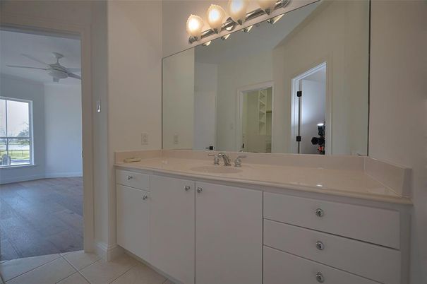Bathroom, Dual Sink Vanities, Interior, Wood Texture Flooring