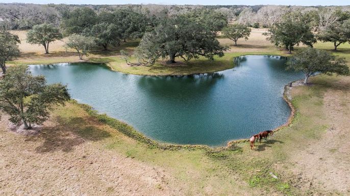 Exterior, Lake